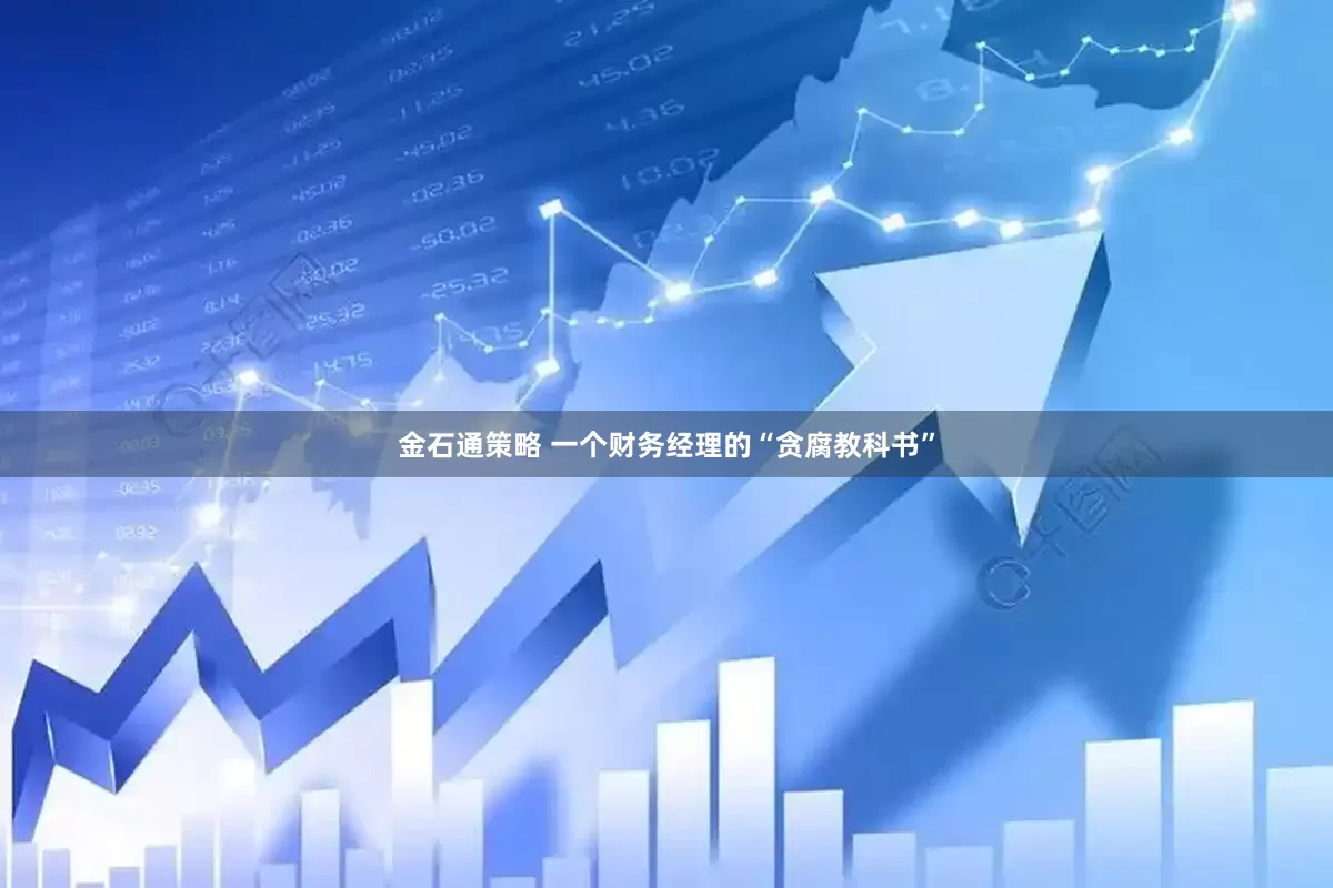 金石通策略 一个财务经理的“贪腐教科书”